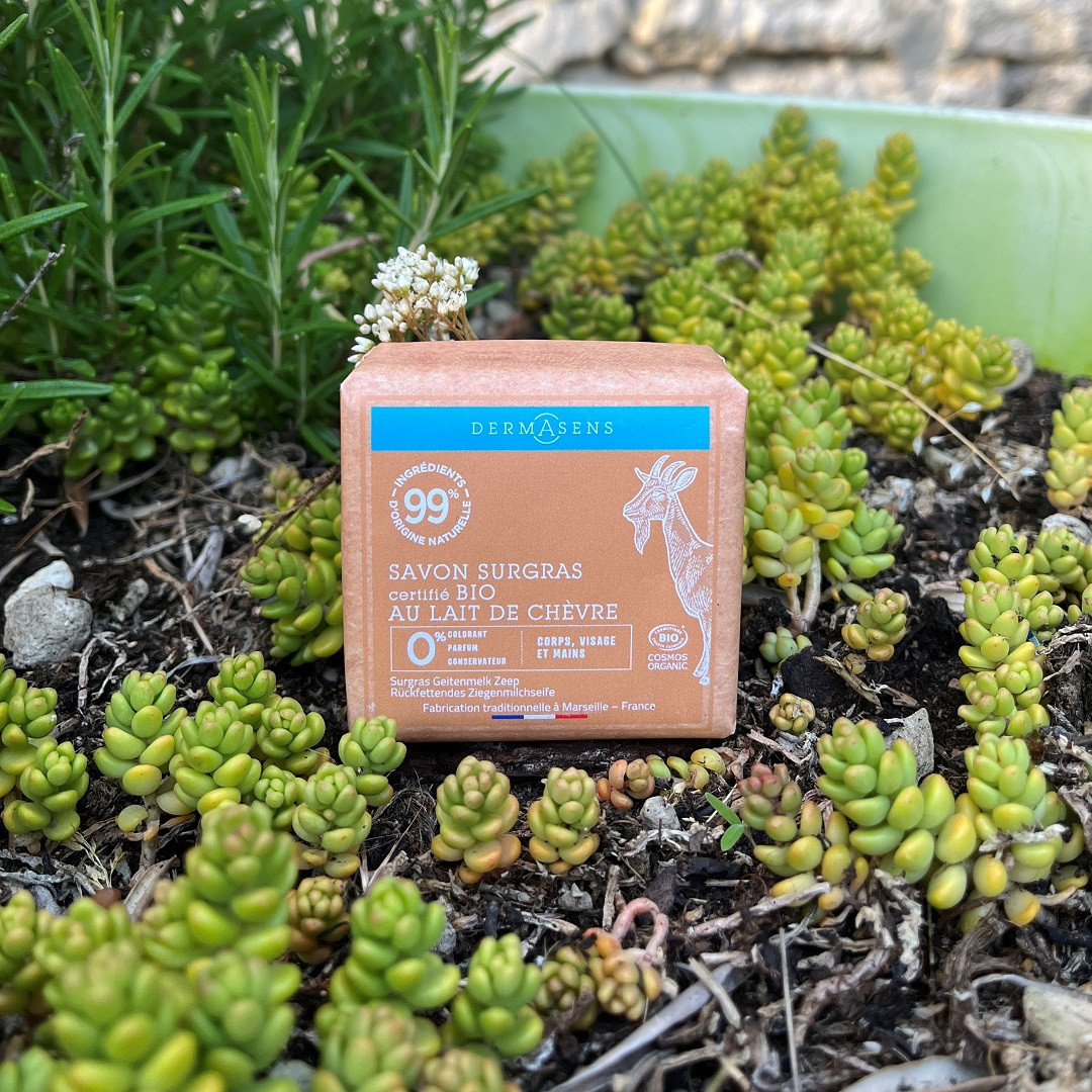 Savon solide surgras certifié bio au lait de chèvre 100g Dermasens