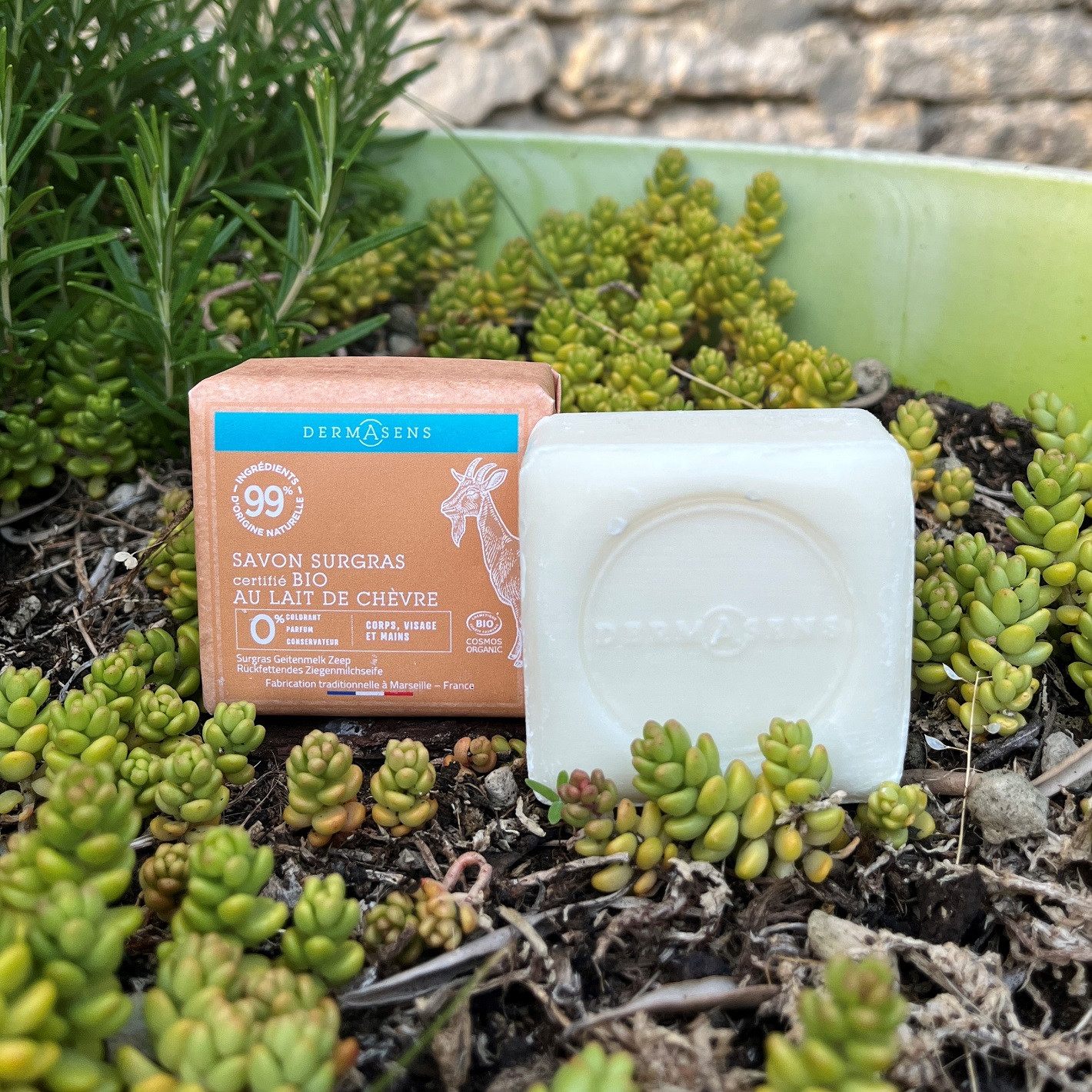 Savon solide surgras certifié bio au lait de chèvre 100g Dermasens