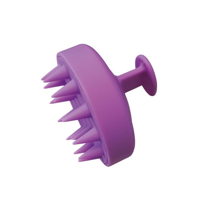 Brosse exfoliante pour cheveux Dermasens