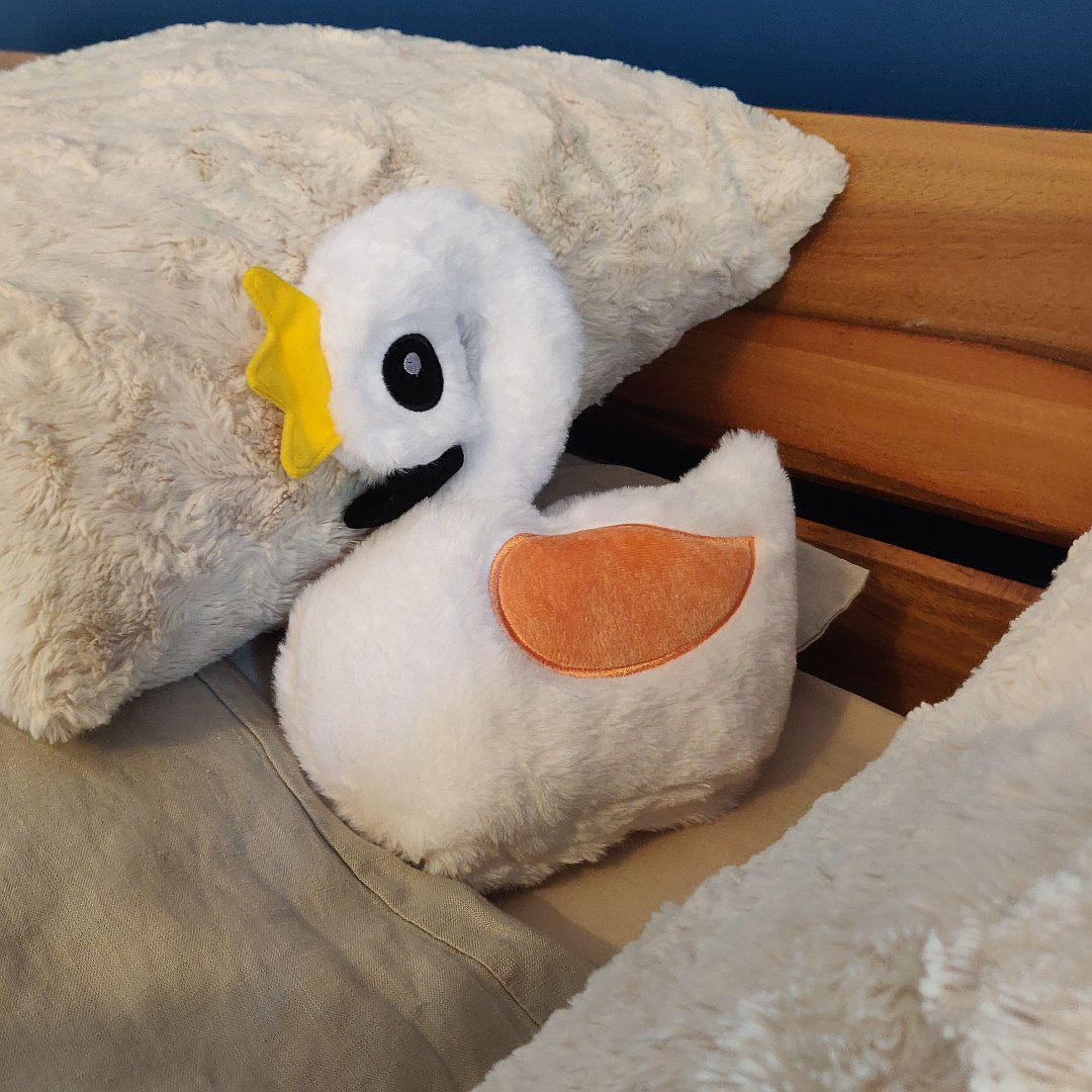 bouillotte aux graines naturelles