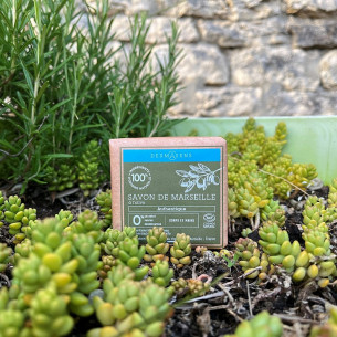 Savon de Marseille solide authentique bio 100g Dermasens