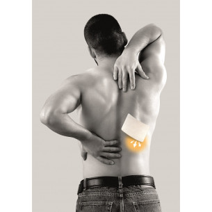 Patch arnica harpagophytum Actikiné multizones