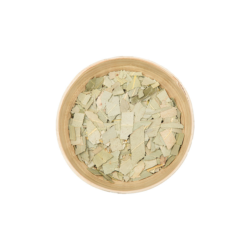 Eucalyptus feuille  Calmelia