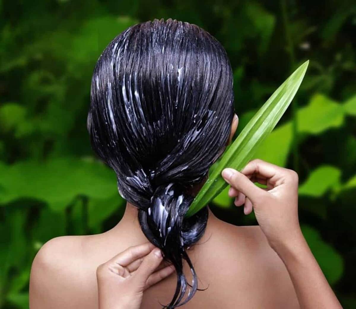 Application d'aloe vera sur les cheveux