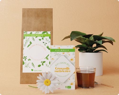 4 infusions achetées = 1 bouteille thermos offerte