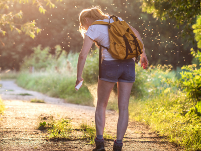 Vacances en zone infestée par les moustiques, comment se protéger ? 